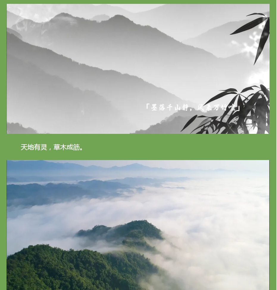 以竹为骨，筑就健康之境 —— 竹筋香韵净化板