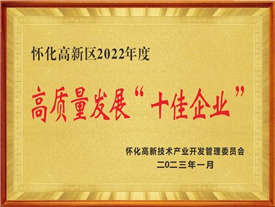 高质量发展十佳企业